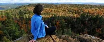 3 monts 2 a person sitting on a rock looking at a forest