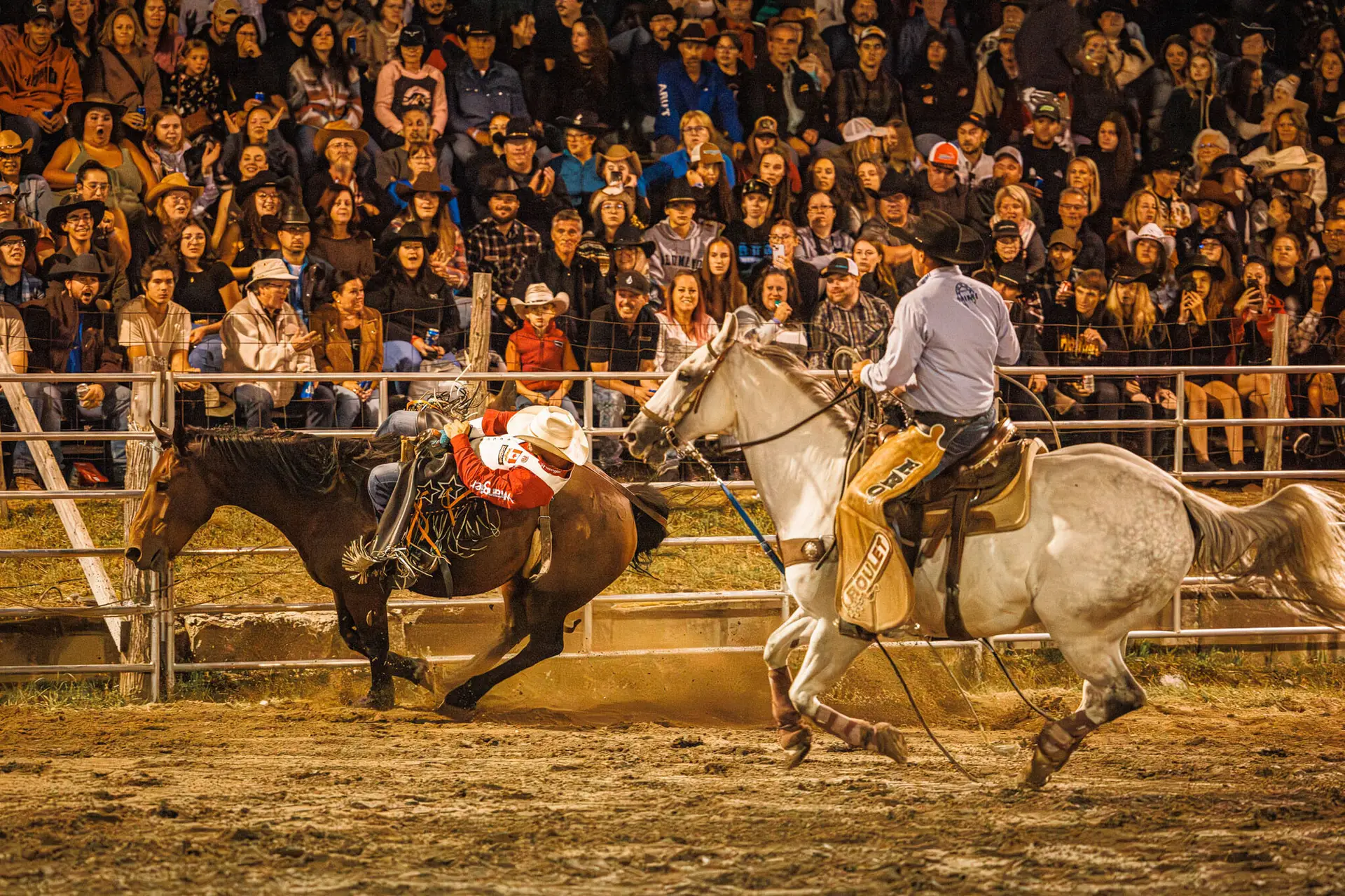 festival boeuf a man riding a horse in a rodeo