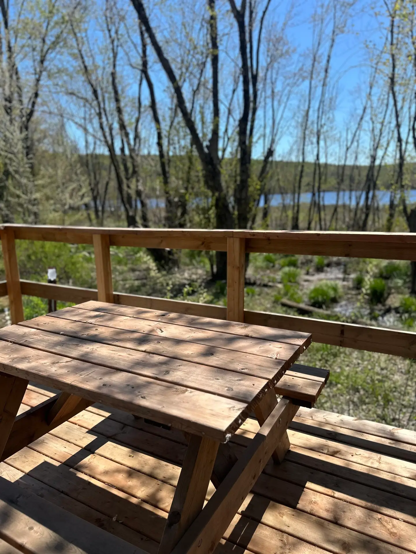location de mini chalet sur le bord de l'eau